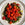 Puy Lentils with Roasted Tomatoes & Tahini Sauce