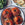 Pesto-Ey Stuffed Tomatoes