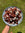 Wholegrain Spelt, Beetroot & Goat’s Cheese Salad