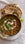 Creamy Dhal Makhani Recipe