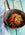 Gochujang Mushroom Stir Fry