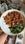 Italian Supergrain Salad with Herby Yoghurt